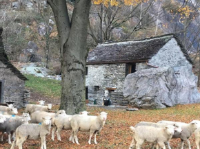 Rustico Gin Avegno Torbecc, Vallemaggia, Tessin,
